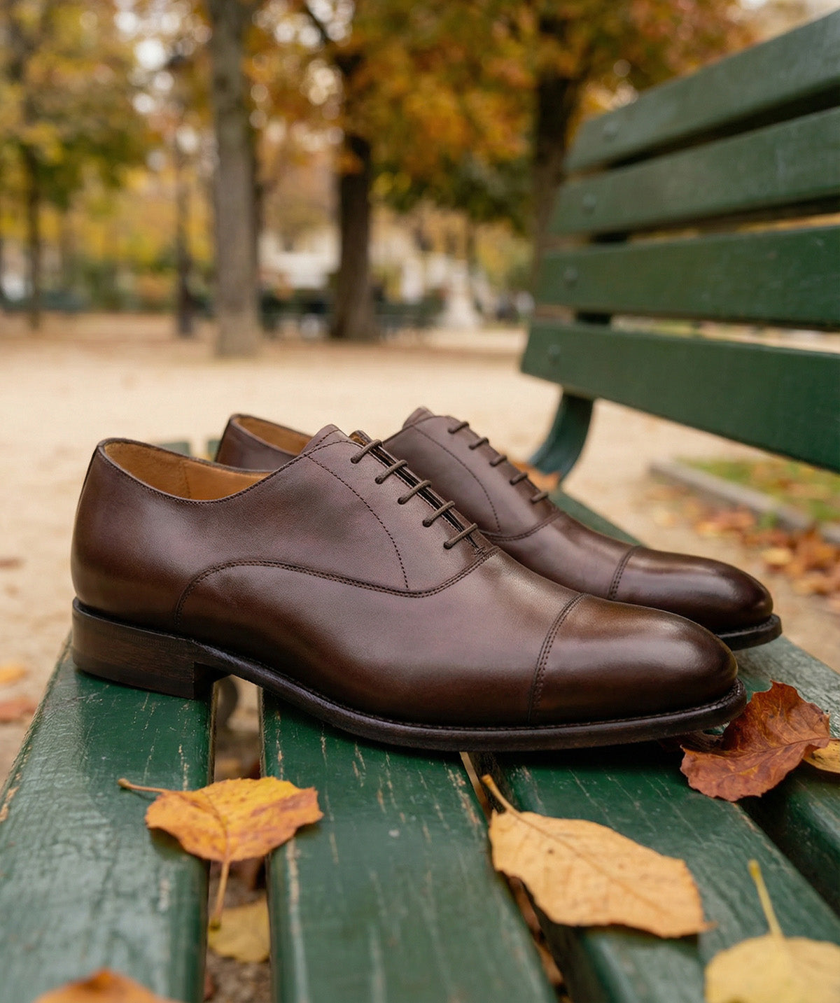 OXFORD Walnut Brown Oxfords