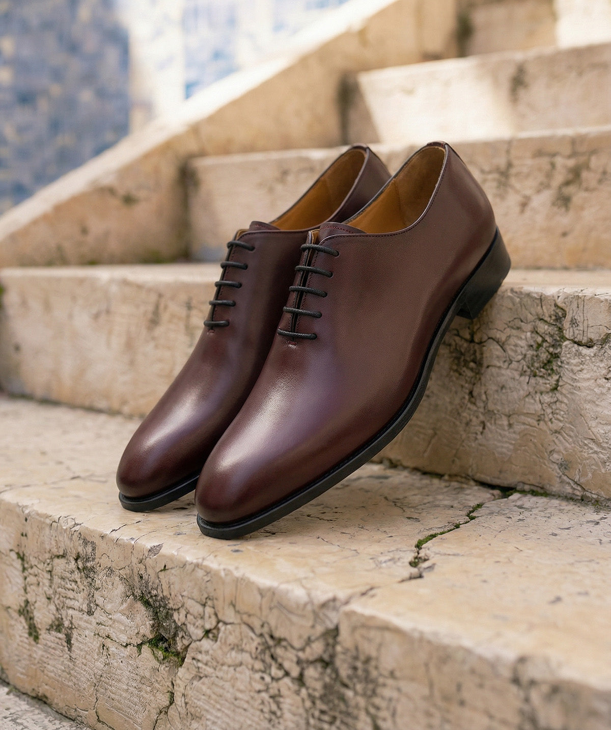 BROADWAY Burgundy Oxford