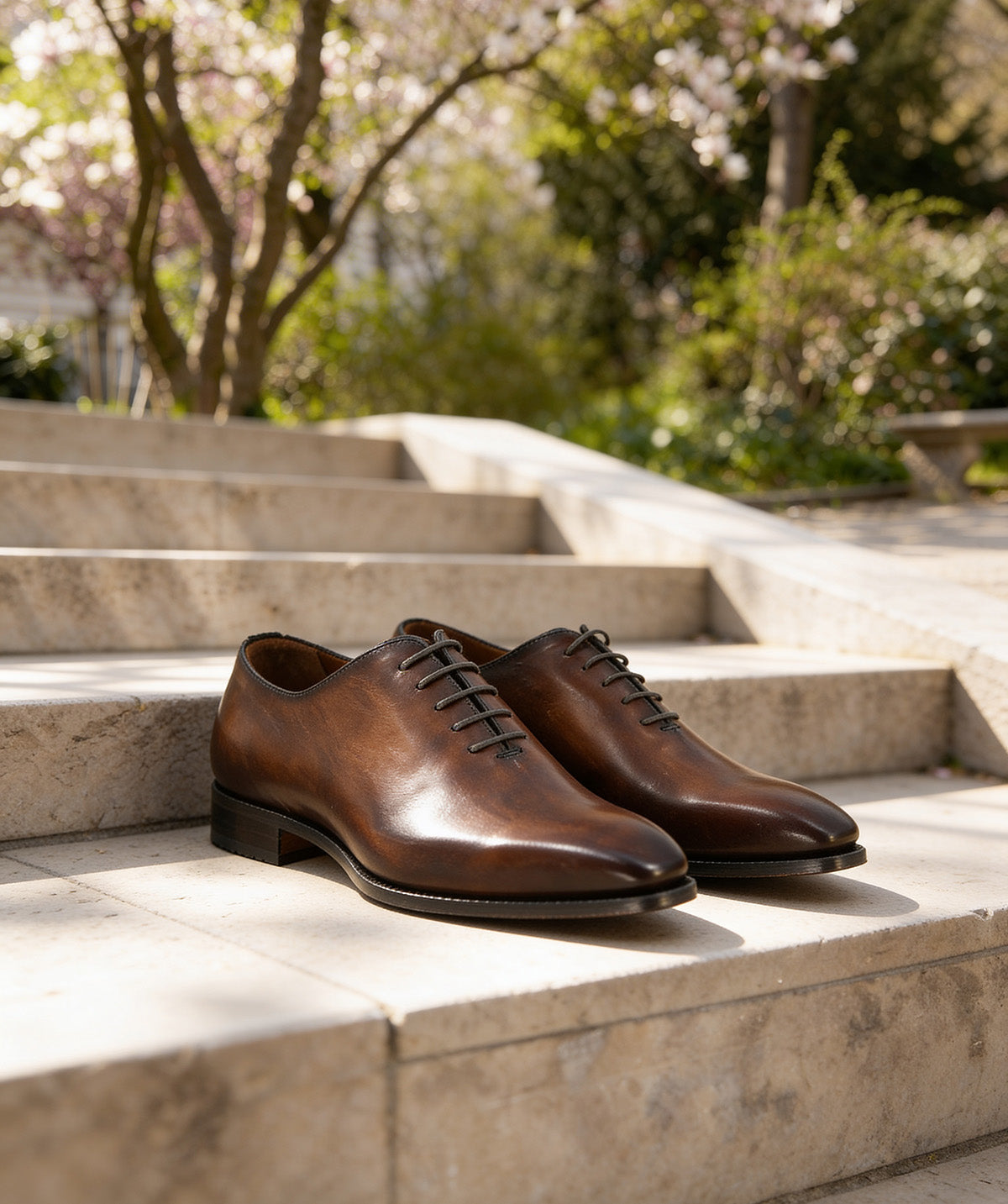 Richelieu ROMEO Marron Patiné