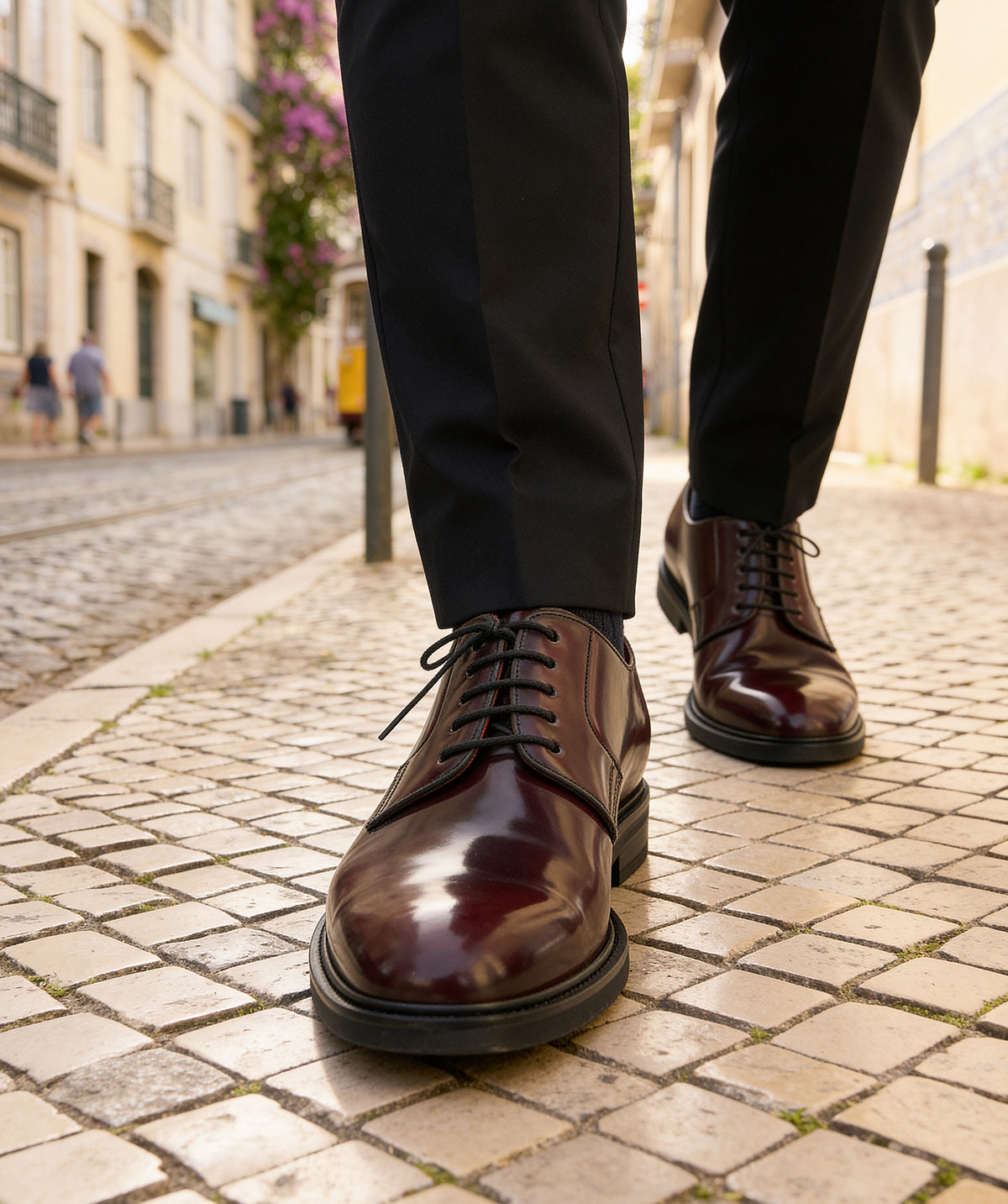 NOHAM Burgundy Derby